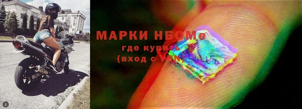 индика Богданович