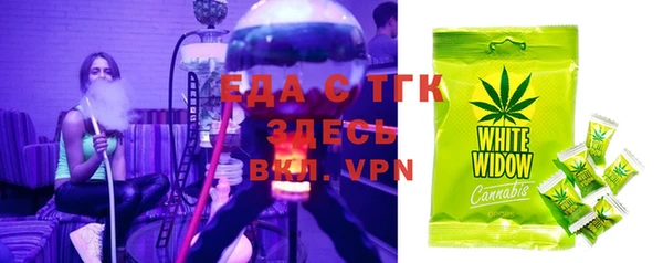 индика Богданович