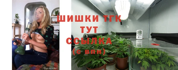 шишки Бугульма