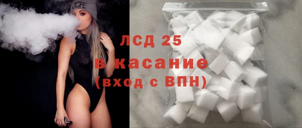шишки Богородицк