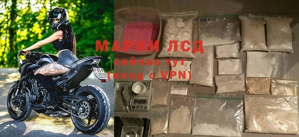шишки Богородицк