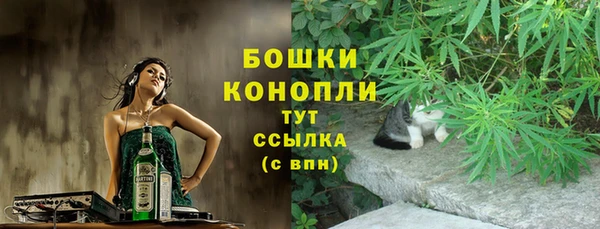 шишки Богородицк