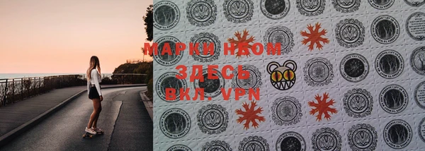 индика Богданович