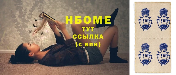 шишки Богородицк